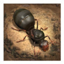 小小蚁国(The Ants)