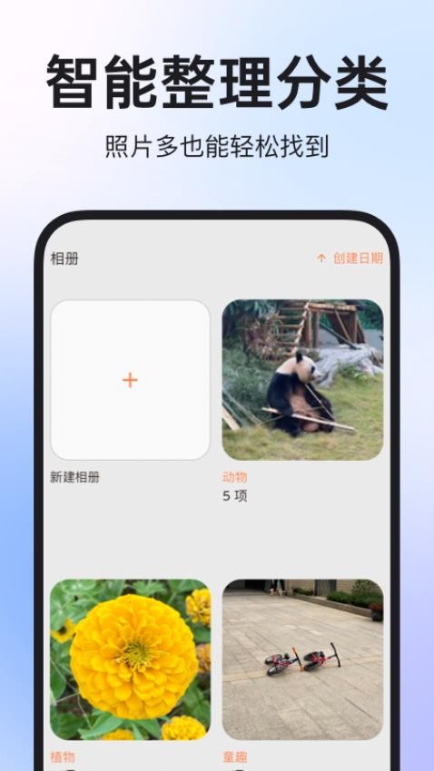 图公主