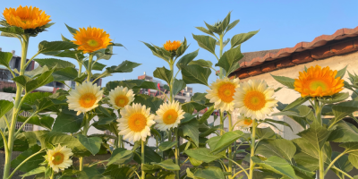 广受好评的美化修图软件合集