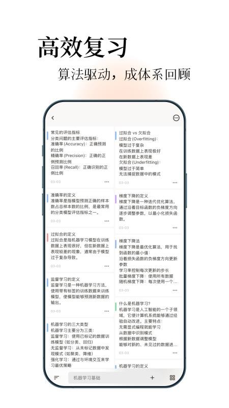 noolingo