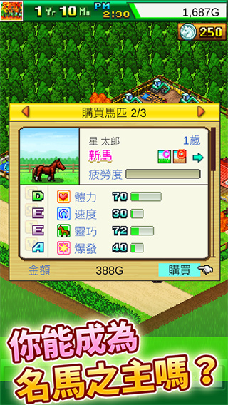 赛马牧场物语汉化版