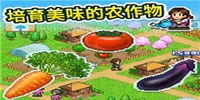 晴空农场物语安卓版大全