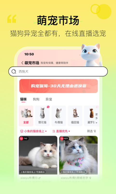 宠胖胖