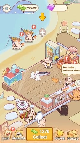 猫咪美食海摊