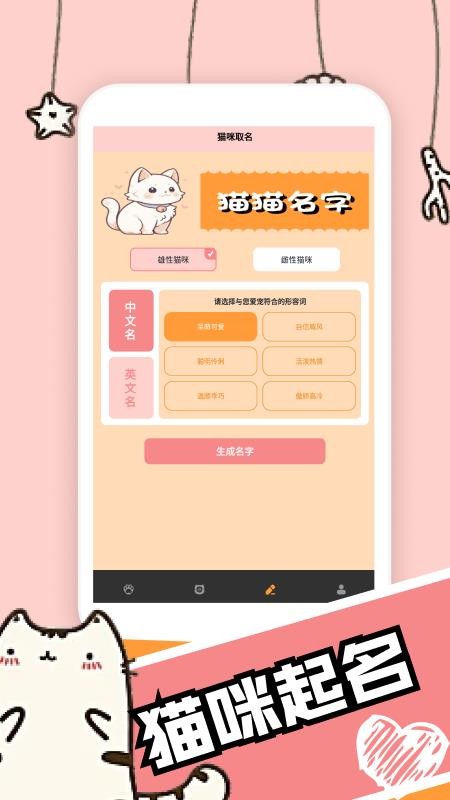 活力猫咪交流器