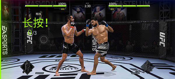 UFC终极格斗冠军2