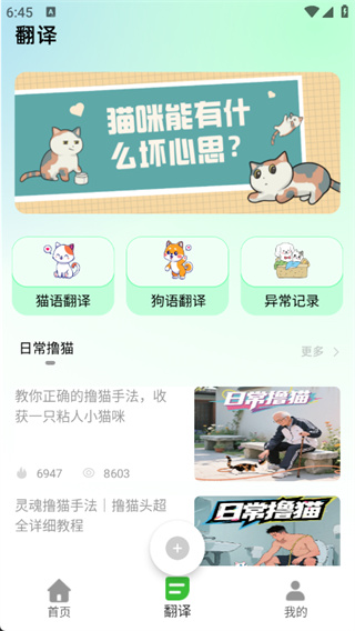 猫语空间