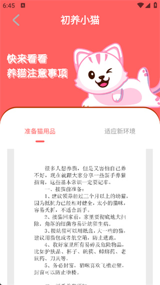 猫语空间