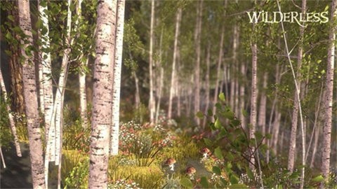 荒野经典版(Wilderless Classic)