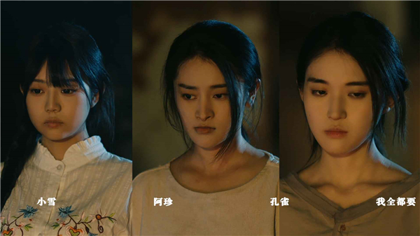 扫毒风暴正式版