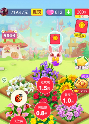 四季养花