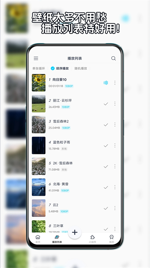 星咩视频壁纸正版