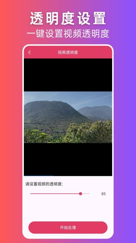 视频格式转换大师
