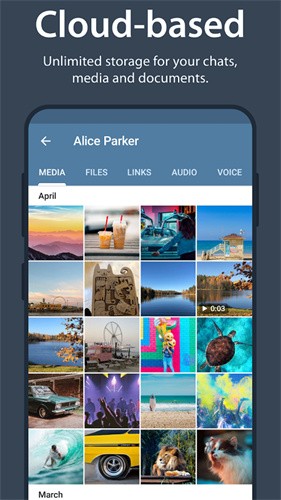 telegeranX灰色版本安装包