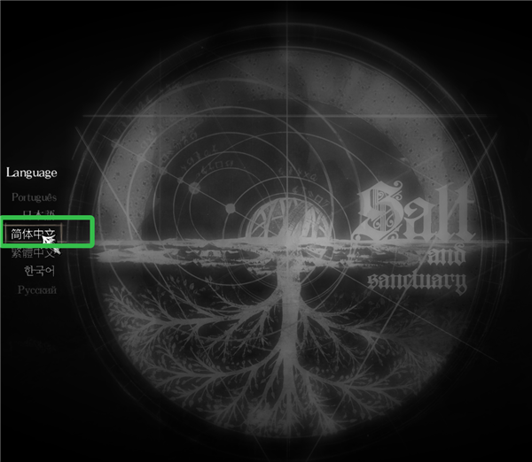 盐和避难所五项修改器