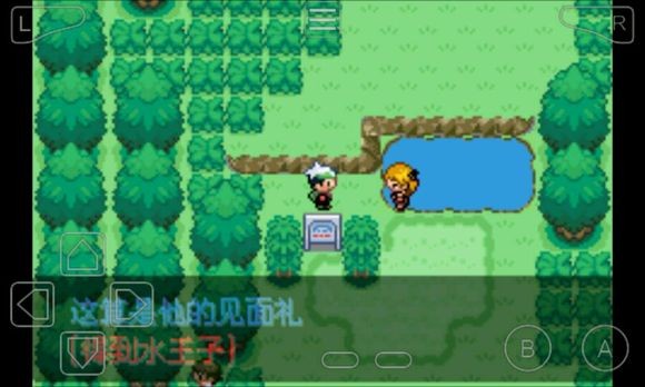 口袋妖怪永恒之沫