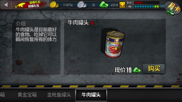 僵尸前线4国际服