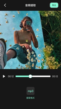 小狐狸剪辑免费版（Motionleap）