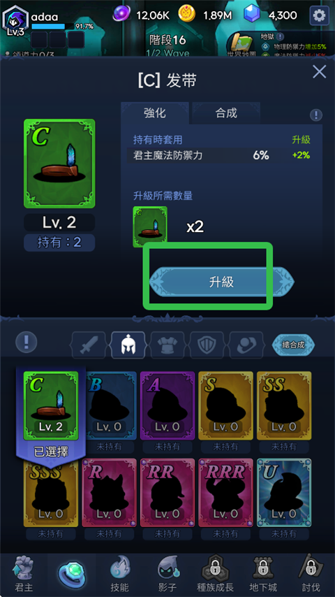 暗影骑士中文版