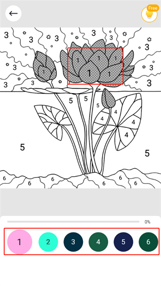 数字涂色