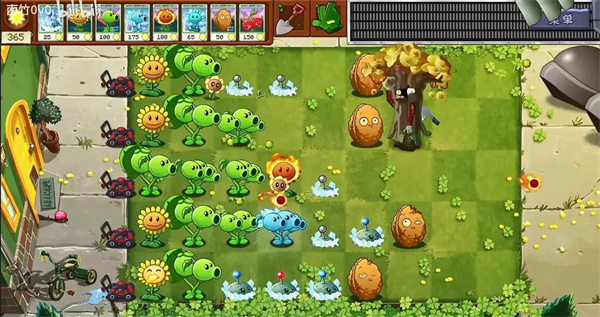 植物大战僵尸转基因版手机版