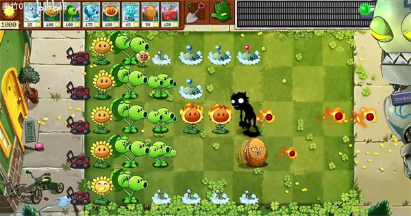 植物大战僵尸转基因版手机版