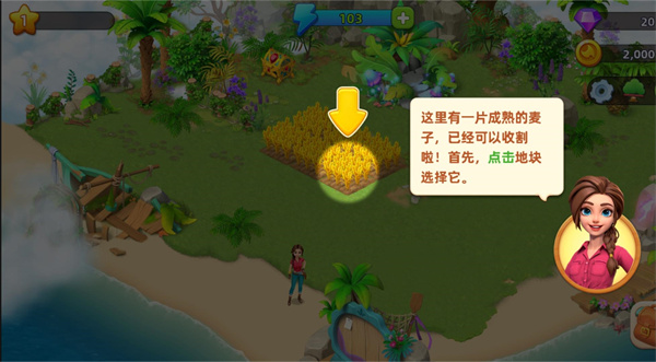 梦幻龙乐园中国版