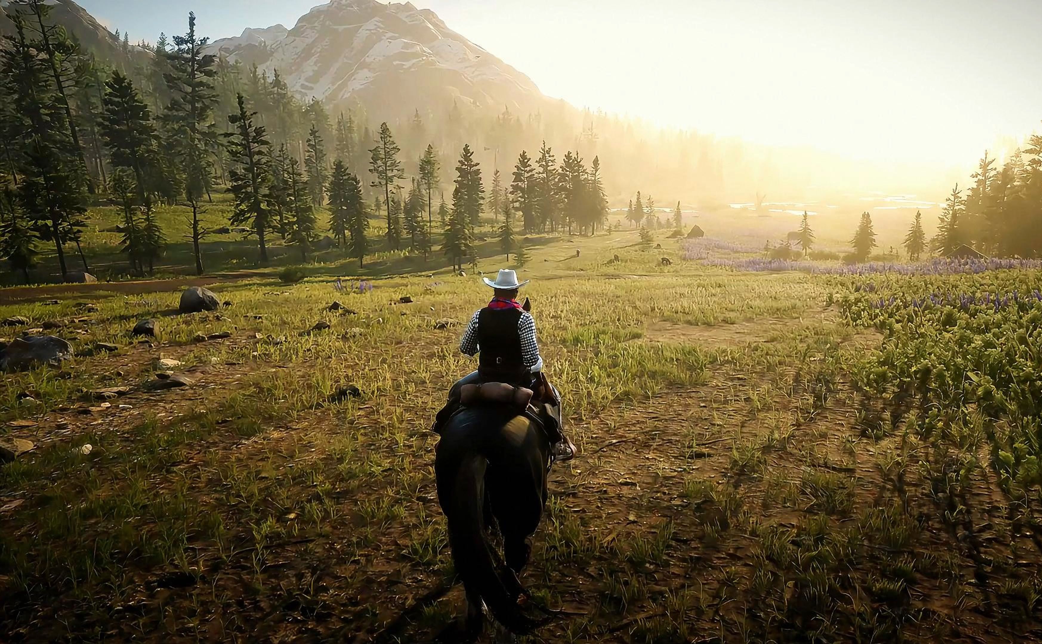 荒野大镖客2修改器风灵月影