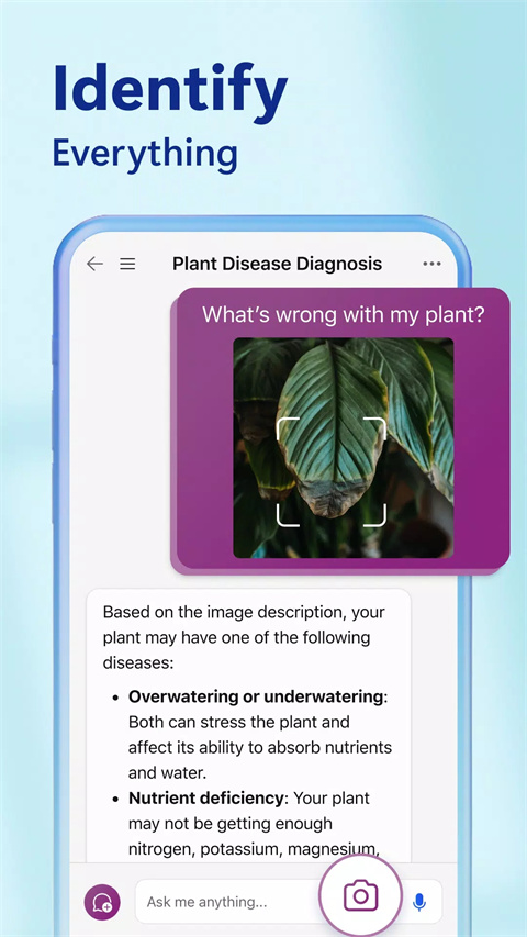 微软必应搜索国际版