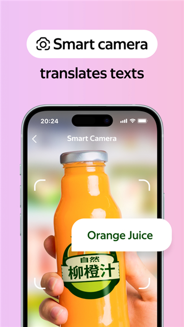 俄罗斯引擎浏览器