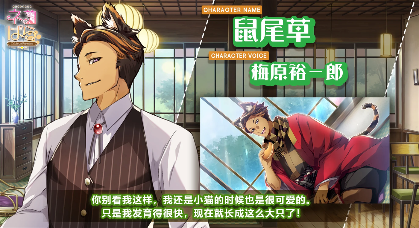 猫郎乐园中文版游戏