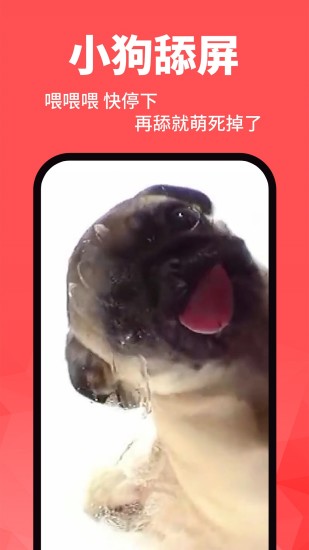 壁纸精灵动态壁纸app