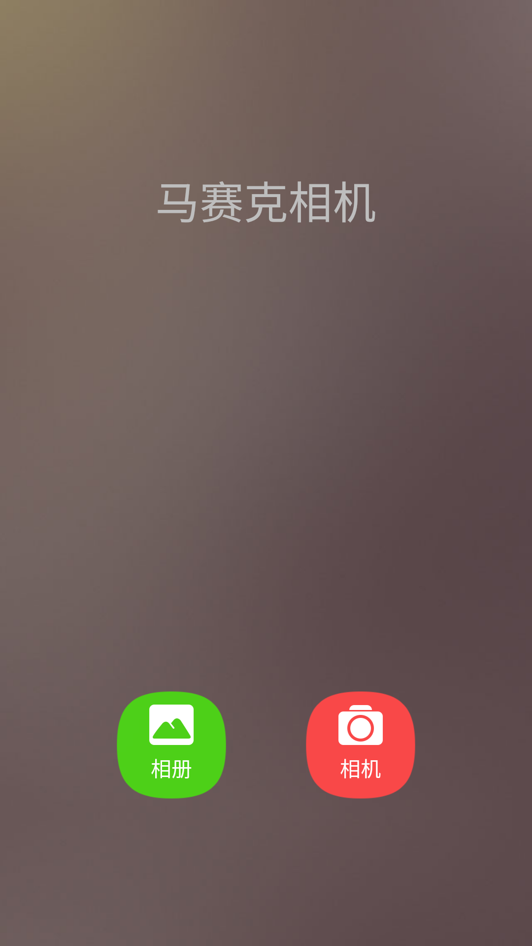 照片马赛克app