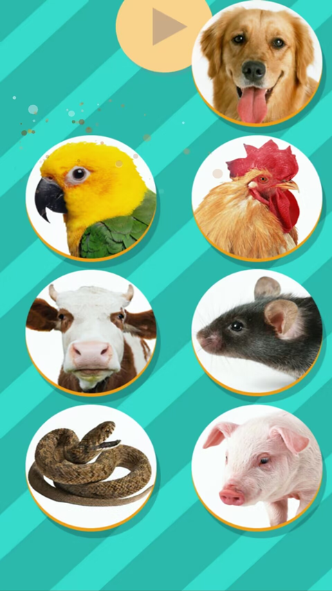 猫狗翻译器免费版