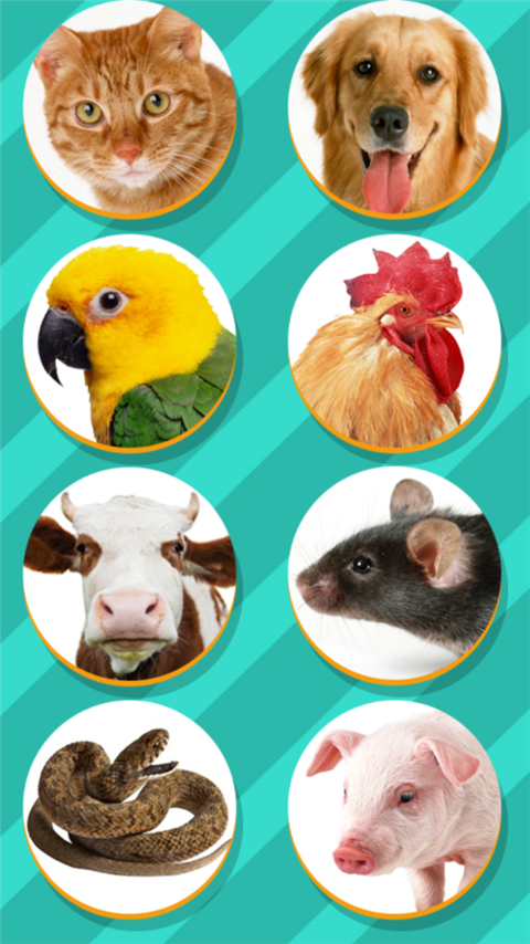 猫狗翻译器免费版