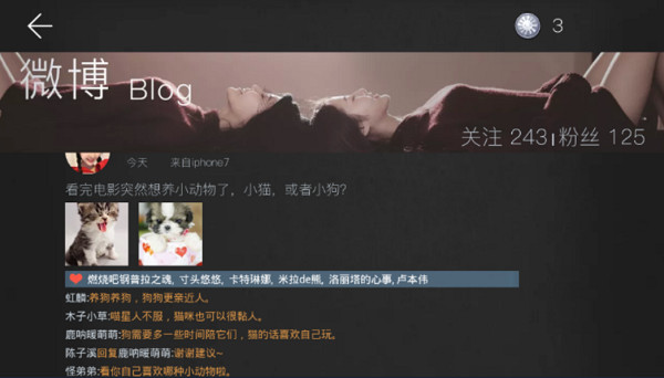 我的总裁女友