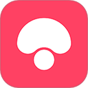 蘑菇街2026最新版