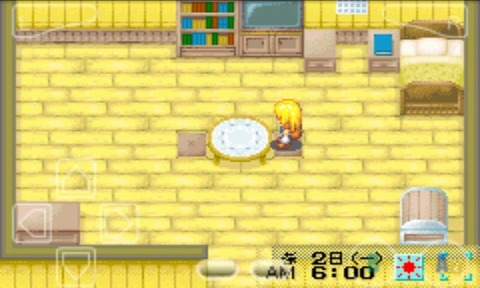 牧场物语女孩版中文版