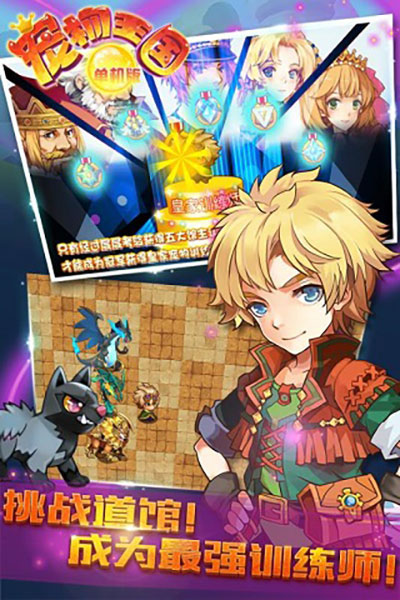 宠物王国单机版正版