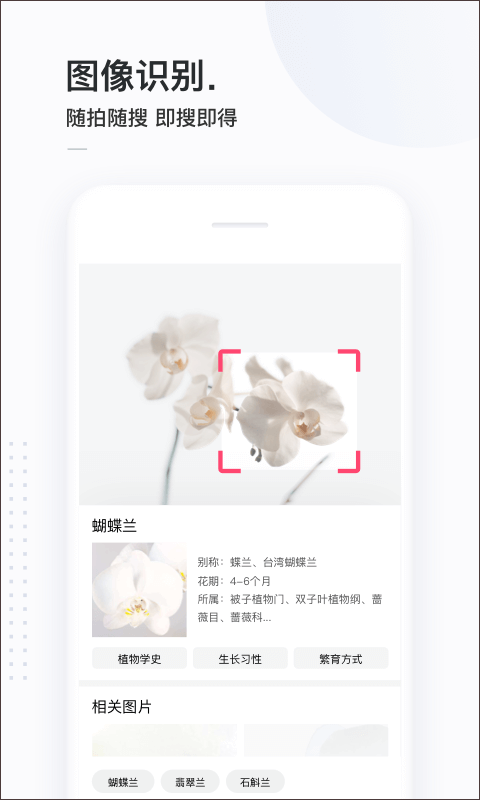 百度简单搜索app