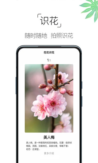 养花大全app