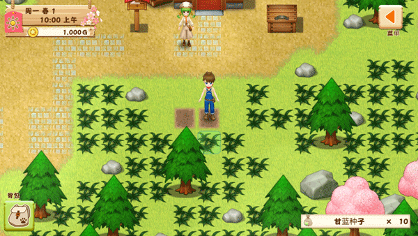 牧场物语希望之光汉化版