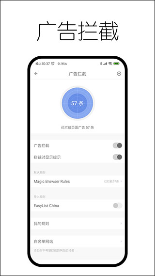 神奇浏览器app