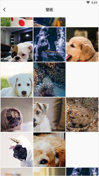 可立拍相机软件