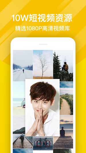 熊猫动态壁纸免费版