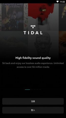 tidal中文版