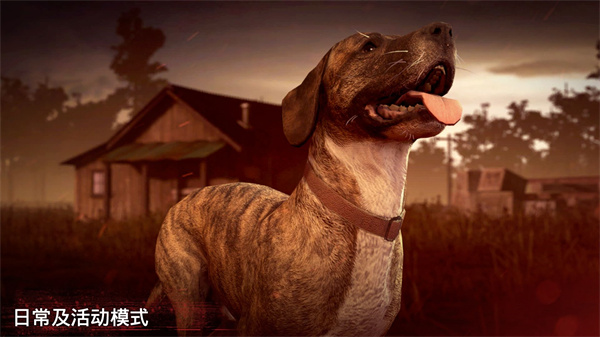 勇闯死人谷2国际服最新版