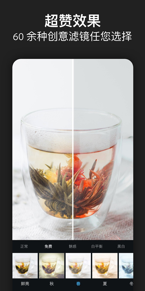 PhotoshopExpress中文版