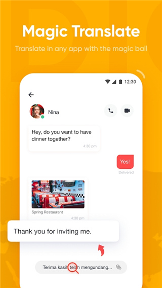 UDictionary国际版