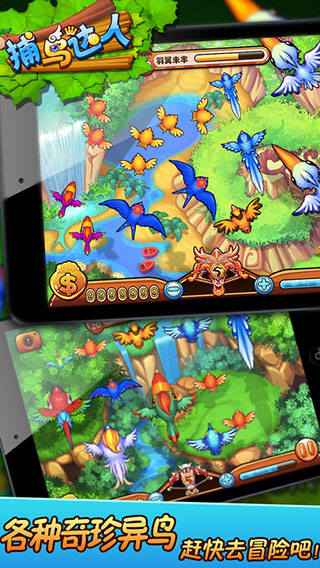 捕鸟达人经典原版